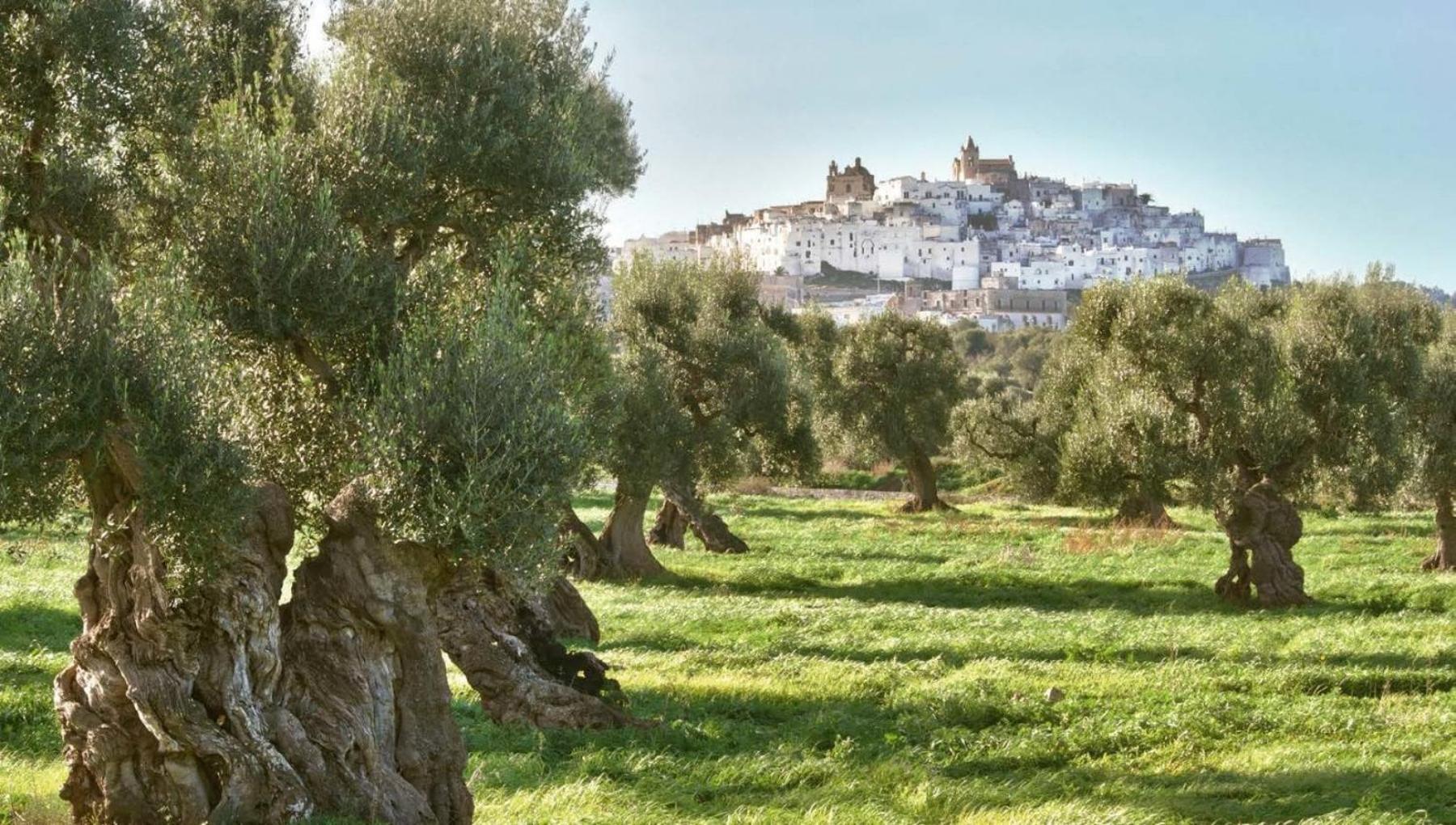 Dimora White 2.0 Villa Ostuni Ngoại thất bức ảnh